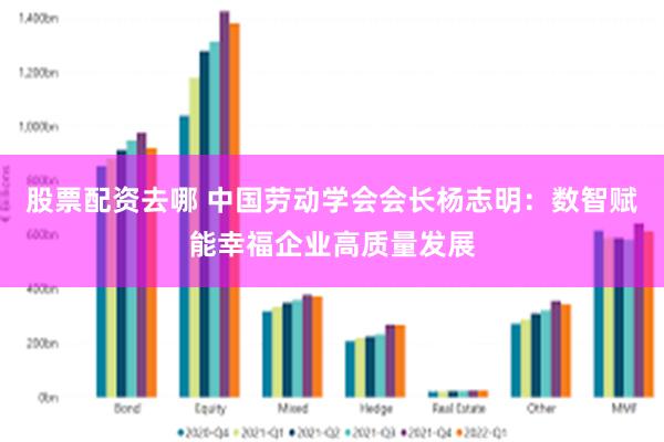 股票配资去哪 中国劳动学会会长杨志明：数智赋能幸福企业高质量发展