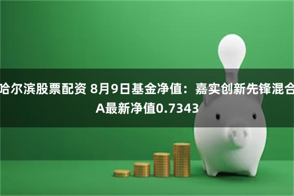 哈尔滨股票配资 8月9日基金净值：嘉实创新先锋混合A最新净值0.7343