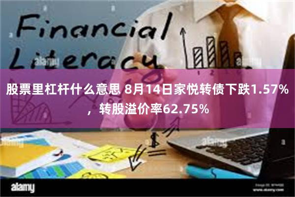 股票里杠杆什么意思 8月14日家悦转债下跌1.57%，转股溢价率62.75%