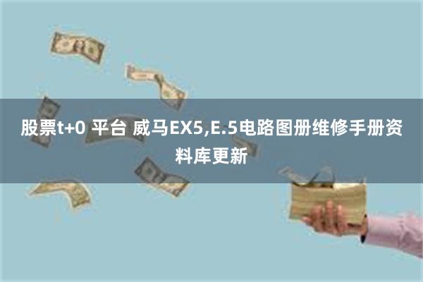 股票t+0 平台 威马EX5,E.5电路图册维修手册资料库更新