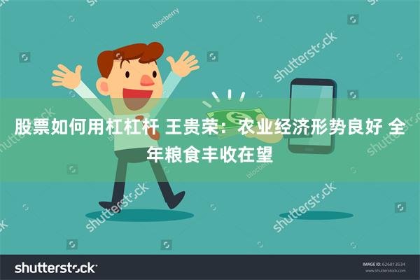 股票如何用杠杠杆 王贵荣：农业经济形势良好 全年粮食丰收在望