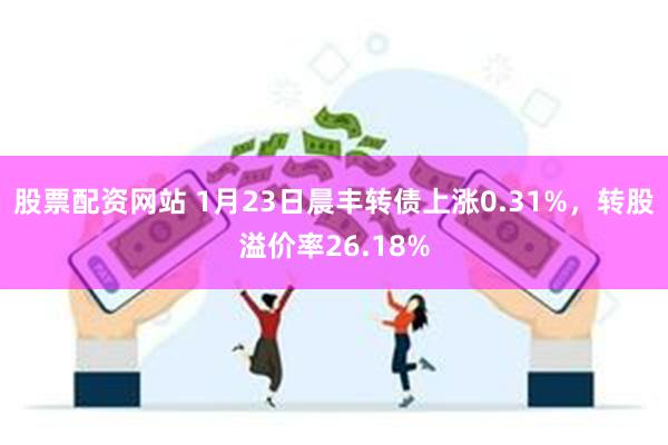 股票配资网站 1月23日晨丰转债上涨0.31%，转股溢价率26.18%